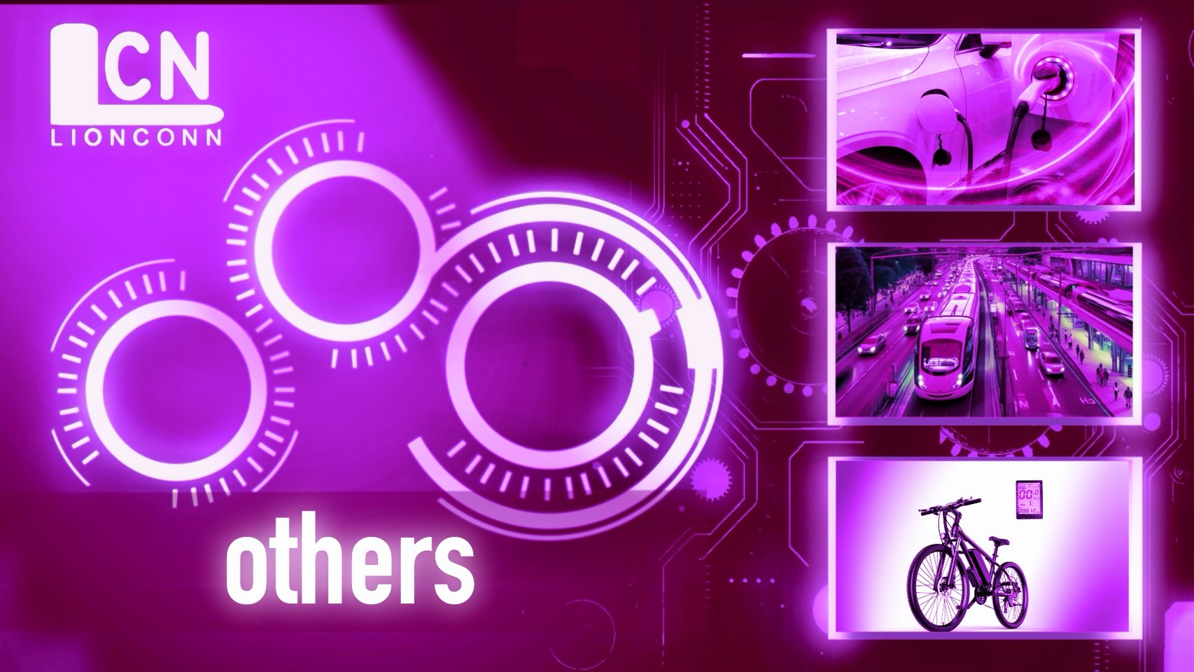 Others                                            